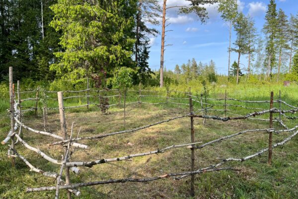 WhatsApp Image 2026-04-14 at 21.15.01 (1)