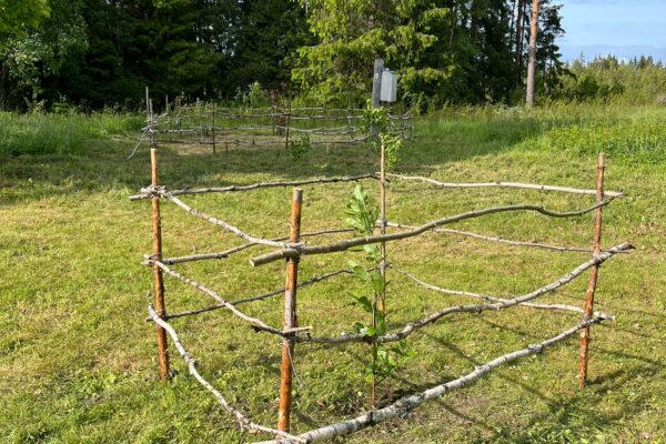 WhatsApp Image 2026-04-14 at 21.15.01